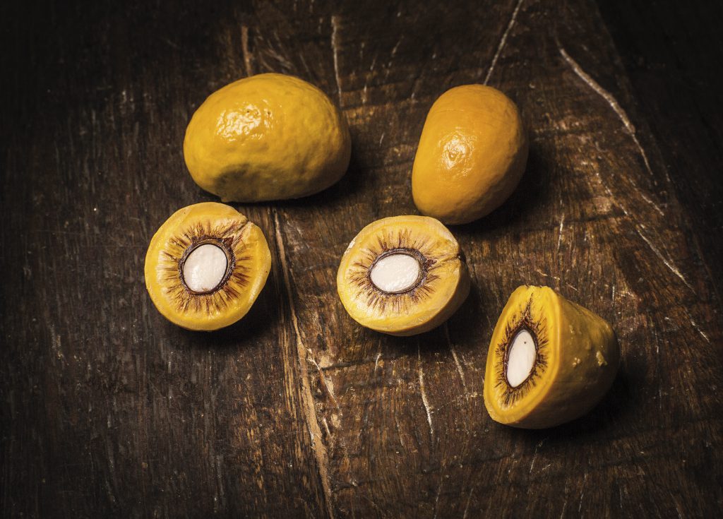 Pequi Instituto Brasil a Gosto