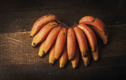 banana-de-sao-tome