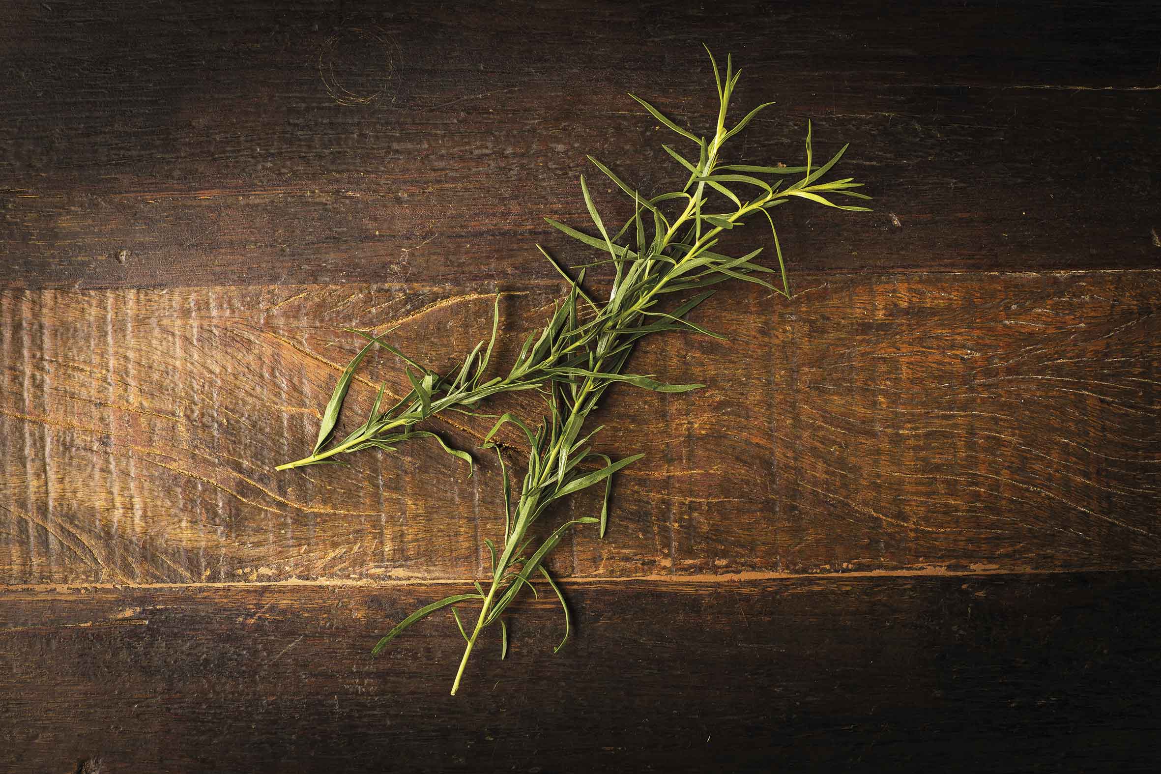 Tarragon Instituto Brasil a Gosto